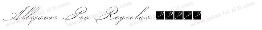 Allyson Pro Regular字体转换